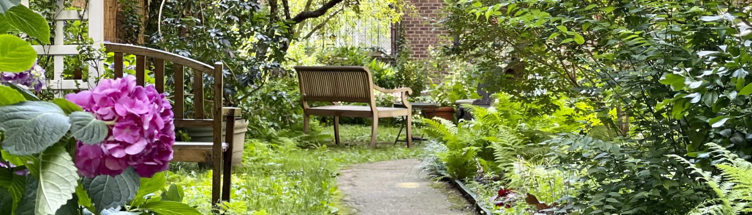 Beautiful Summertime Back Yard.